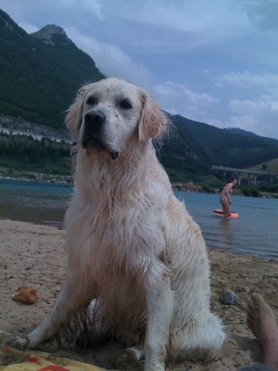 que calor
